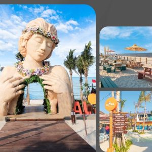pik cbd future aloha